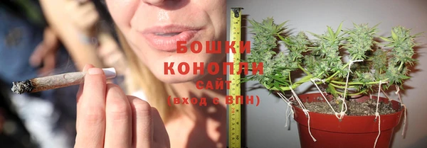 apvp Медногорск